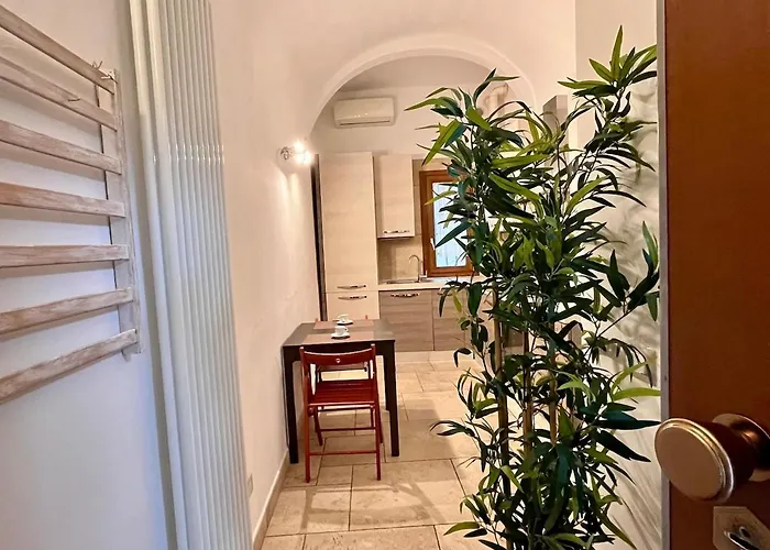 San Frediano Novilia Daire Floransa